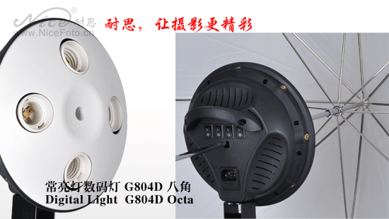 Осветитель NiceFoto G804D-2 с октобоксом 85 см и патроном под 4 лампы